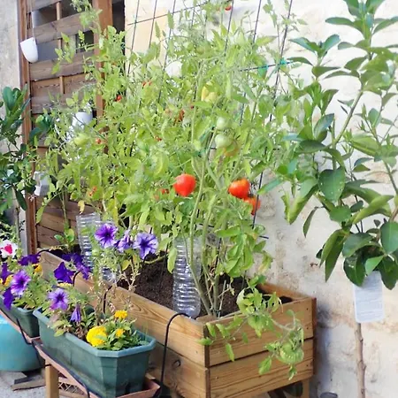 Bed & Breakfast La Miramboise, Et Table D Hotes Mirambeau (Charente-Maritime)